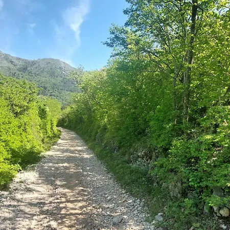 Lejlighed Ripenda - Sanja